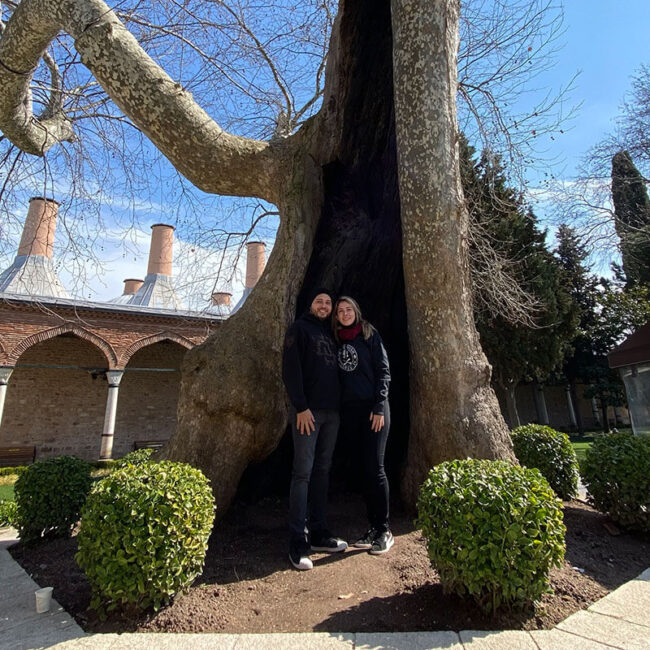 Árbol de la Felicidad - Estambul